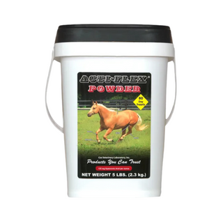 Cox Acti-Flex Powder Horse Supplement