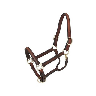 Royal King Raised Leather Halter