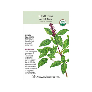 Basil Thai Sweet Thai Organic