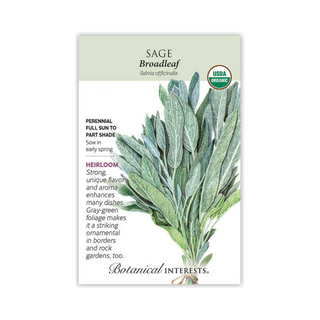 Sage Broadleaf Organic