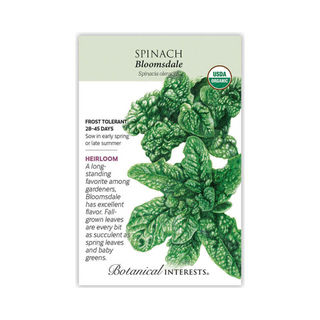 Spinach Bloomsdale Organic