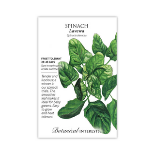 Spinach Lavewa