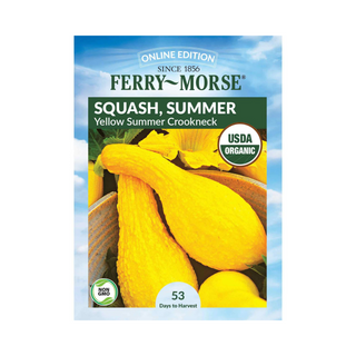 Squash Yellow Summer Crookneck Organic