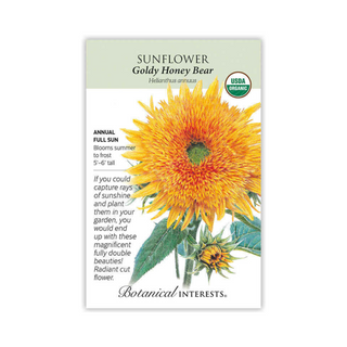 Sunflower Goldy Honey Bear Organic