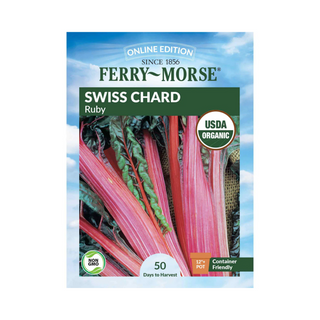 Swiss Chard Ruby Organic