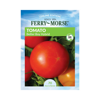 Tomato - Better Boy Hybrid HEIRLOOM