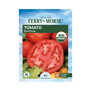 Tomato Beefsteak Organic