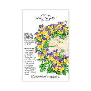 Viola Johnny-Jump-Up