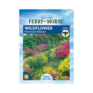 Wildflower - Perennial Mix