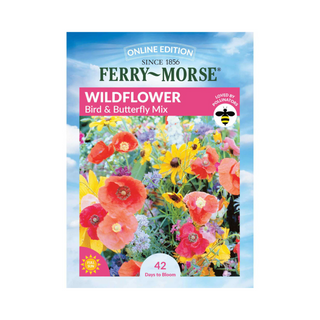 Wildflower Birds and Butterfly Mix