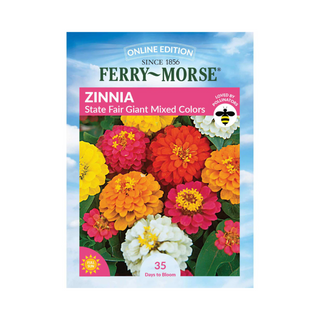 Zinnia - State Fair Giant Mixed Color