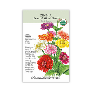 Zinnia Benary's Giant Blend Organic