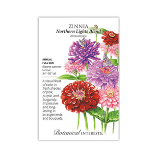 Zinnia Northern Lights Blend