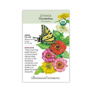 Zinnia Thumbelina Organic